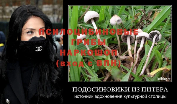 молекула духа Баксан