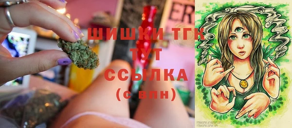 молекула духа Баксан