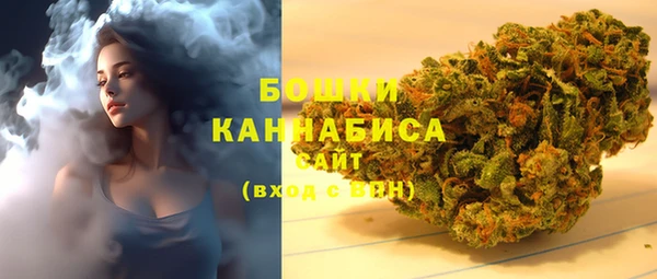 ГАЛЛЮЦИНОГЕННЫЕ ГРИБЫ Балабаново